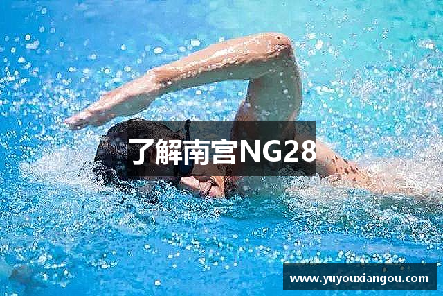 了解南宫NG28